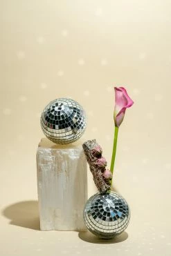 LSF White Sage And Rose Buds Smudge Stick