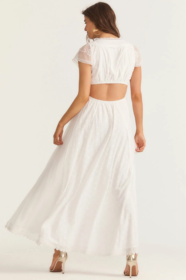 LSF Vania Maxi Dress Dresses 7 LSF Vania Maxi Dress Dresses